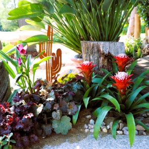 Sommerbeet mit Bromelie