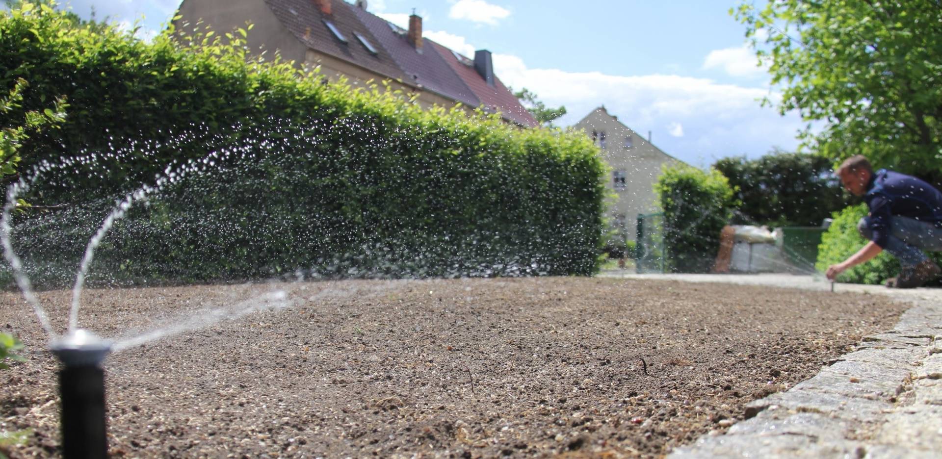 Angesäter Rasen wird durch Rasenbewässerung beregnet